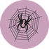 Zirneklis tīklā kā simbols dabā novērojamam modelim.